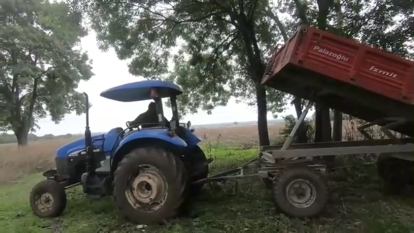 Status de trabalho do reboque europeu