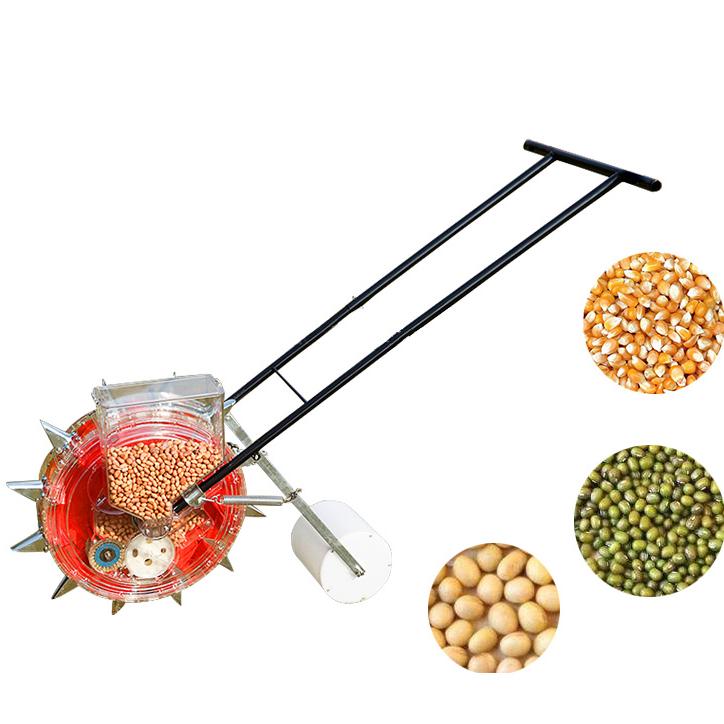grain sorghum plant Wheatland Heirloom Grain Sorghum (Milo)